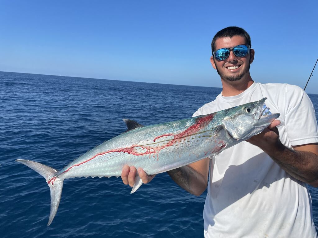 Half day mackerel fishing