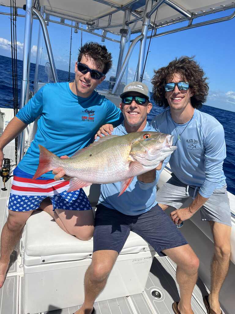 Mutton snapper On islamorada wrecks