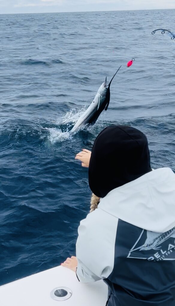  Full Day Charter Kite Fishing